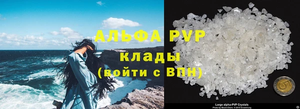 COCAINE Дмитриев