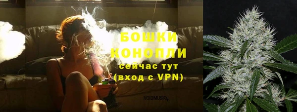прущие крисы Ельня