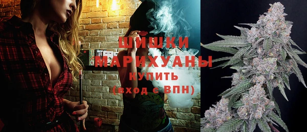 ПСИЛОЦИБИНОВЫЕ ГРИБЫ Дмитров