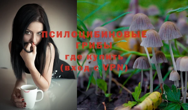 ПСИЛОЦИБИНОВЫЕ ГРИБЫ Дмитров